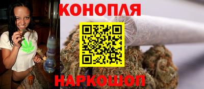 прущие крисы Кингисепп